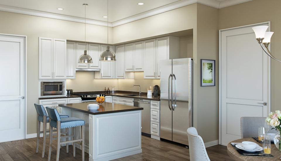 Apartment Home Kitchen